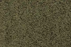 Ковролин Bonkeel Parliament Green фото  | FLOORDEALER